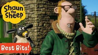 Funniest Shaun the Sheep Moments from Season 3!  #ShaunTheSheep