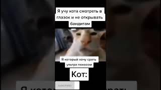 Я  учу кота смотреть в глазок и не открывать бандитам  #мем #кот #глазок