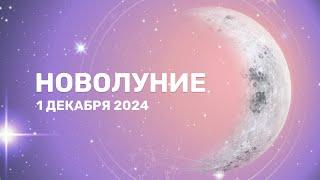 Новолуние 1 декабря 2024 года