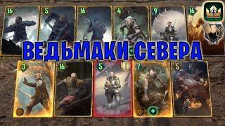 GWENT | ВЕДЬМАКИ КОЙОН — ВЕДЬМАКИ СЕВЕРА (Ополчение) — гайд | Гвинт Патч 12.8