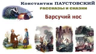 К.Паустовский "Барсучий нос" - Рассказы и сказки Паустовского - Слушать