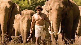 देखिये कैसे Arya और उसके साथियों ने दुश्मनों को मार कर जंगल को बचा लिया | Kadamban | Catherine Tresa