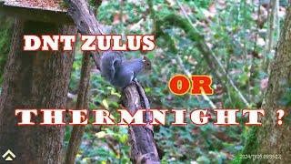 DNT ZULUS OR THERMNIGHT, YOU DECIDE. .