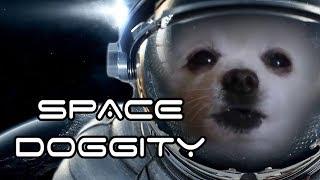 space doggity