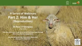 Predator Control - Him & Her (sheep reproduction) - clip 3 of 6