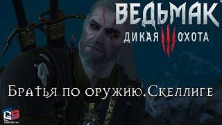 Ведьмак 3 "Братья по оружию.Скеллиге" ● Где найти Керис, Краха и как им помочь? ● Прохождение миссии