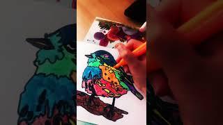 Ptak