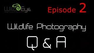 Wildlife Photography Q&A:  Episode 2