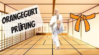 Werde Karate-Meister 3/10: Orangegurt Shotokan Prüfungsprogramm Kihon (7. Kyu, DKV)