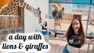 SPENDING A DAY WITH LIONS & GIRAFFES | vlog 