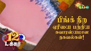 பிங்க் நிற ஏரியை பற்றிய சுவாரஸ்யமான தகவல்கள்! |  12 Tucker | Adithya TV