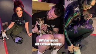 WWE Stars (Bayley, Iyo, Finn, Rhea Ripley) interact with a stray cat (backstage at Crown Jewel)