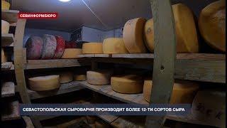 Более 12-ти сортов авторского сыра готовят на Севастопольской сыроварне