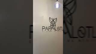 PAPALOTL MORELIA, MICH. (Promo Mexa Taste)