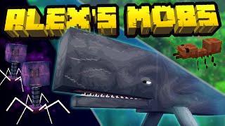 ALEX'S MOBS 1.9 НОВЫЕ КИТЫ, СМЕРТЕЛЬНЫЙ ВИРУС И МУРАВЬИ! ОБЗОР ОБНОВЫ МОДА ОТ СОЗДАТЕЛЯ ICE AND FIRE