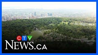 Montreal unveils redesign plan for Mount-Royal Park