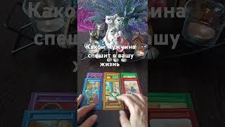 ⁉️🫂какой мужчина спешит в вашу жизнь #таро #tarot #знаксудьбы