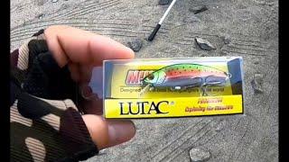 Best Lure for Naiser ( Black Spotted Snapper ) | Ultra light Angling | Fishing UAE