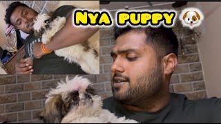 Nya Puppy Aagya  | Shitzu | Vishal Khatana Vlogs