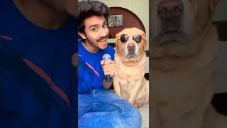 cold drink vs nimbu pani #shorts | Anant rastogi