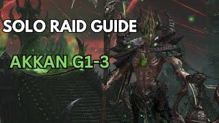 Solo Raid Guide - Akkan