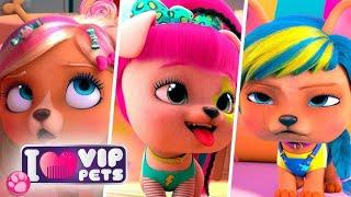  VIP Pets Koleksiyonu: Sezon 1 Tüm Bölümler!  | Türkçe Çizgi Film