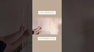 다이소 네트망 이건 생각못했네! #삶의질상승템 #다이소
