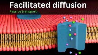 Facilitated diffusion Explained || Bio Scholar