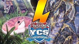 YCS Düsseldorf 2019 - Top 32 Feature Match: Danger!Orcust vs Thunder Dragon