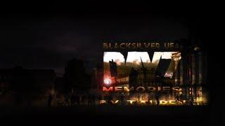 BlackSilverUFA: DayZ Memories