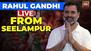 Rahul Gandhi LIVE From Delhi's Seelampur | Rahul Gandhi's Speech | Delhi Assembly Polls LIVE Updates