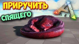 Ark Survival Evolved - КАК МЫ ПРИРУЧАЛИ МЕГАЛОЗАВРА - Megalosaur - #8