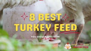 8 Best Turkey Feed in 2025 - Grow Chicken