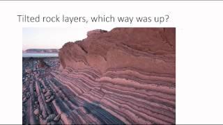 Sedimentary Structures