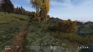 DayZ - Stream