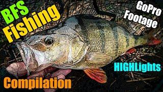 BFS Fishing Highlights - Lure Fishing for Perch, Trout, Pike, Zander, Chub - GoPro Footage