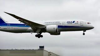 787 Lands With RAT Deployed