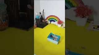#diy #organizer #trending #viral #Shorts #trending #shorts