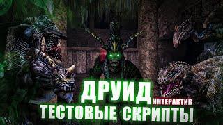 [5] Путь Друида | ИНТЕРАКТИВ | Кошмарный сон Тестовых Скриптов | Gothic 2 Новый Баланс