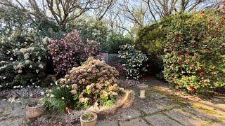 Homeowners needed their Backyard Tidying so they could Sell the House