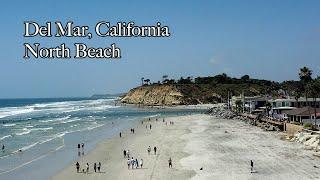 4K Drone Footage : Coastal views : Del Mar Dog Beach – North Beach, Del Mar California