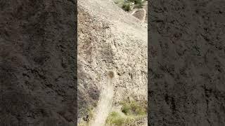 Can you name this trick?⁠⁠ ‍⁠ #freeride #mtb #bmx #stunt