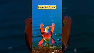 The New Bird Video|| Bird Dance video|| #youtubeshorts #dance #birds #foryou #viralvideo #shortvideo