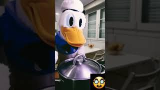 haha #donaldduck #duck #funny #memes #shortvideos #viral #shorts #humor