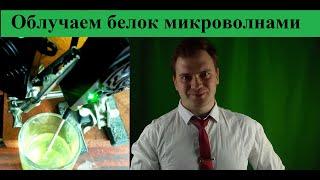 Денатурация белка микроволнами | Денатурация белка в спирте