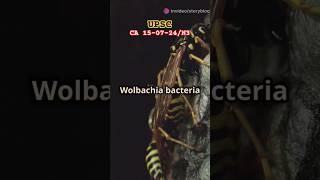 Wolbachia Bacteria: The Male-Killing Parasite!