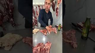Steyk Shuxdil