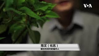 一名纽约福州人讲述偷渡客的故事