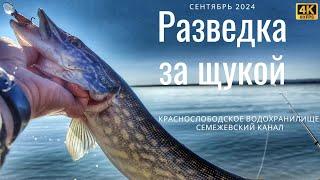 Поиск щуки на Семежевском канале и Краснослободском водохранилище