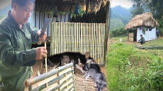 The poor life of the mute man who built fences and doors for the bamboo house